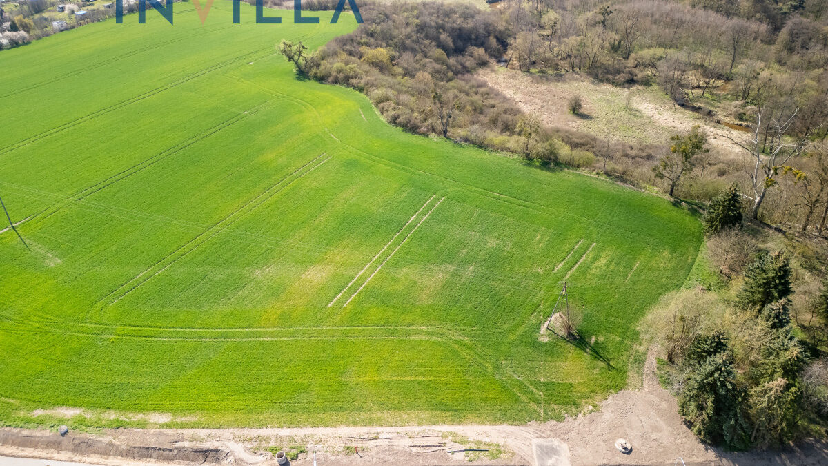 Działka inwestycyjna przy DW 515 – Działka na sprzedaż, Dzierzgoń, 10790.00 m2, IN402821