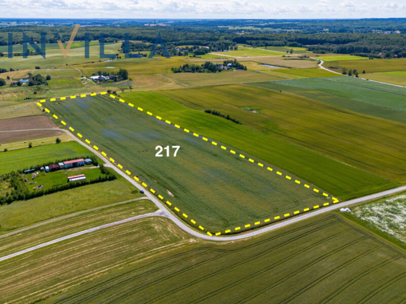 piękna działka w Ełganowie – Działka na sprzedaż, Ełganowo, 50900.00 m2, IN366550