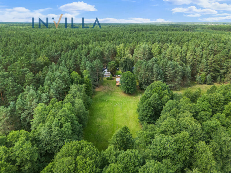 Posiadłość z 2 domami i basenem w otoczeniu lasu – Dom na sprzedaż, Zimne Zdroje, 185.00 m2, IN346285