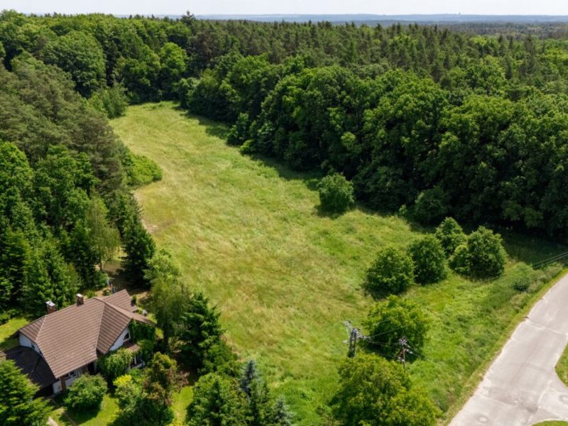 Plot for sale, Jerzmanowa, 11000.00 m2, IN433540