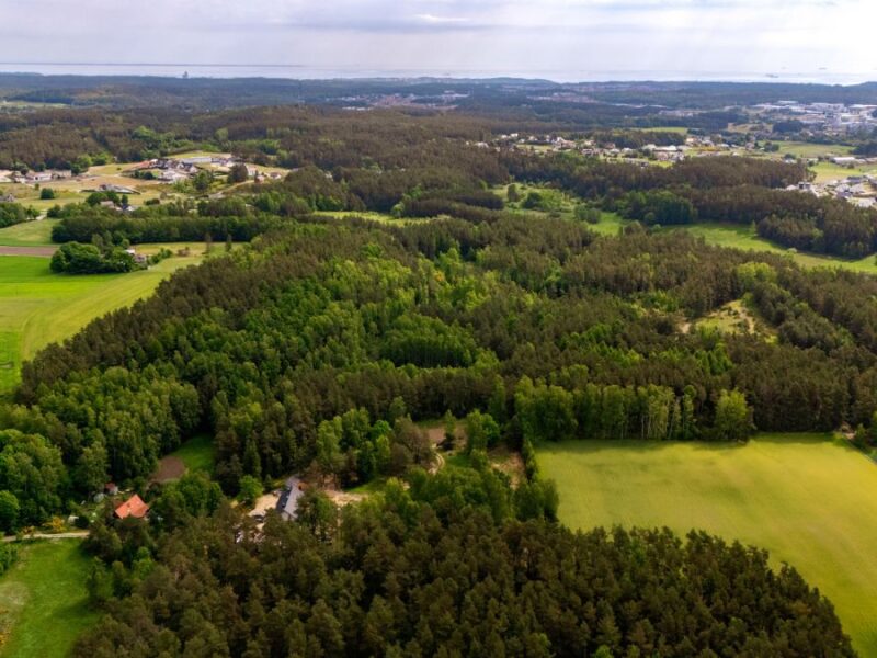 Malownicza działka budowlana w lesie – Dobrzewino – Działka na sprzedaż, Dobrzewino, 3000.00 m2, IN804718