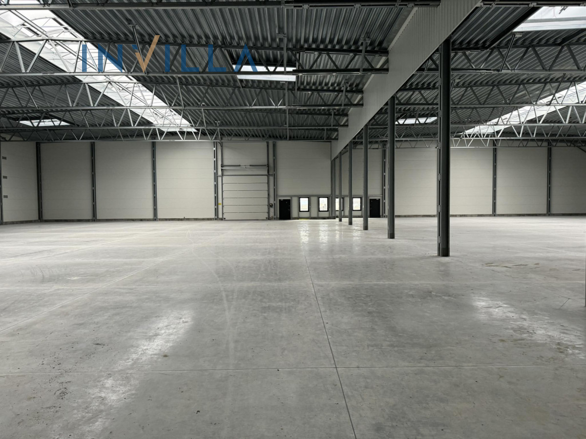Hala magazynowo-produkcyjno-usługowa – Lokal użytkowy na wynajem, Gdańsk Kokoszki, 2500.00 m2, IN568778