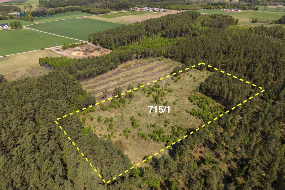 Grunt rolny otoczony lasem |&nbsp;Skorzewo – Działka na sprzedaż, Skorzewo, 23087.00 m2, IN815140