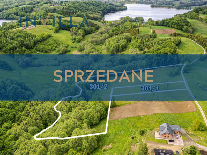 Zjawiskowa działka siedliskowa  – Działka na sprzedaż, Kożyczkowo, 30023.00 m2, IN294996